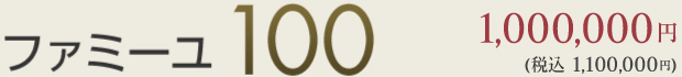 100プラン